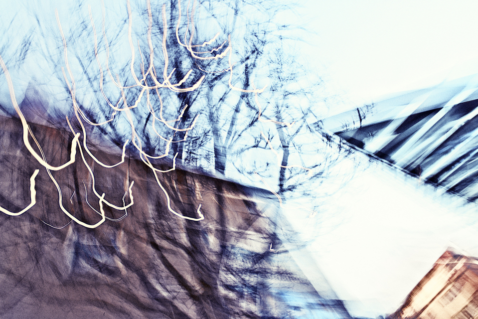 Impression of a Tree - ID 002134