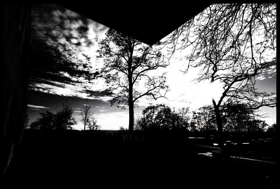 Limited View - ID 002169