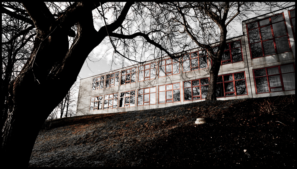 Windows I - ID 002170