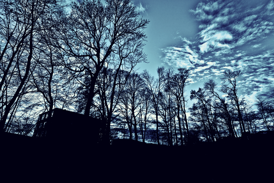 Winter Sky - ID 002181