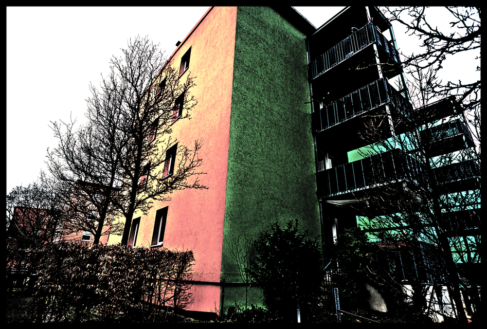 Red Green - ID 002195