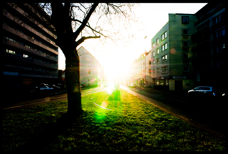 Against the Sun Green - ID 002212