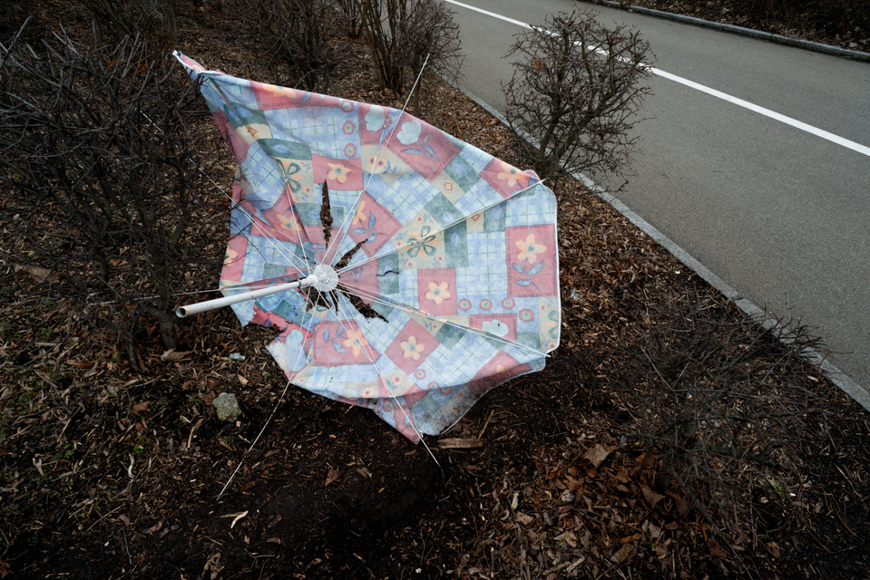 Umbrella - ID 002236