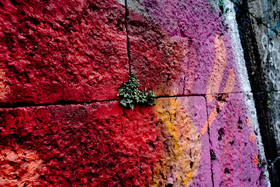 Colored I - ID 002240