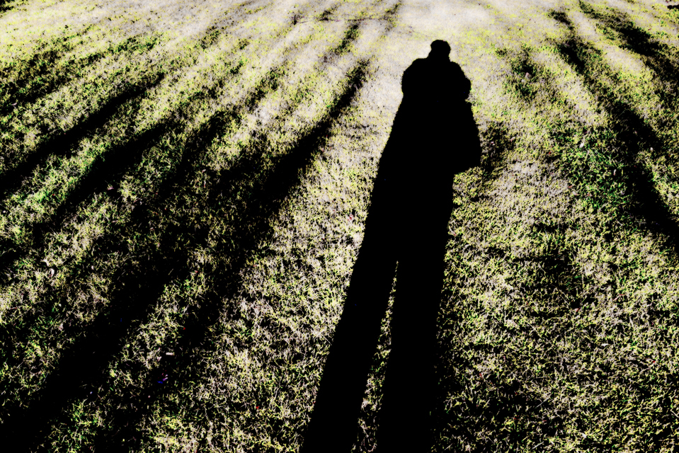 Selfshadow - ID 002259