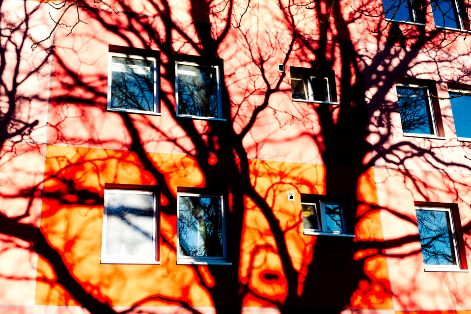 Wonderland III - ID 002269