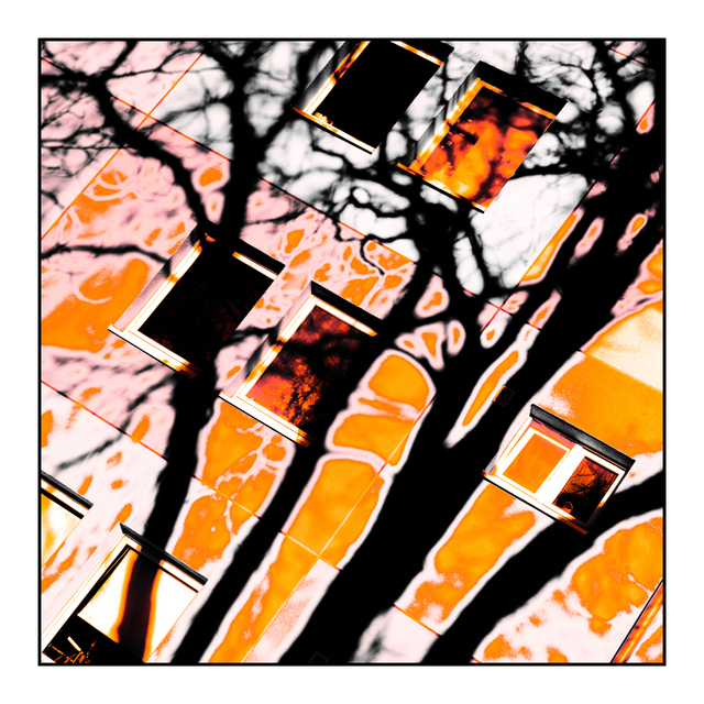 Wonderland VI - ID 002272