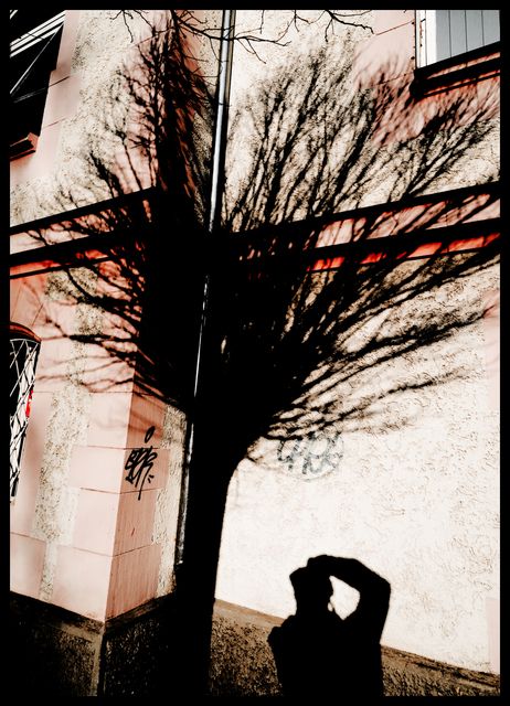 Aside the Shadow - ID 002283