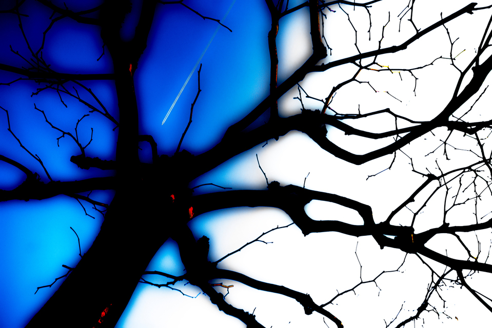 The Witch II - ID 002293