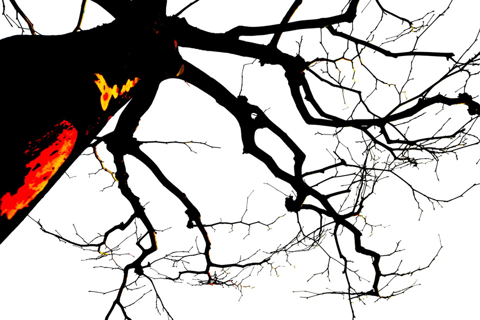 The Witch III - ID 002294