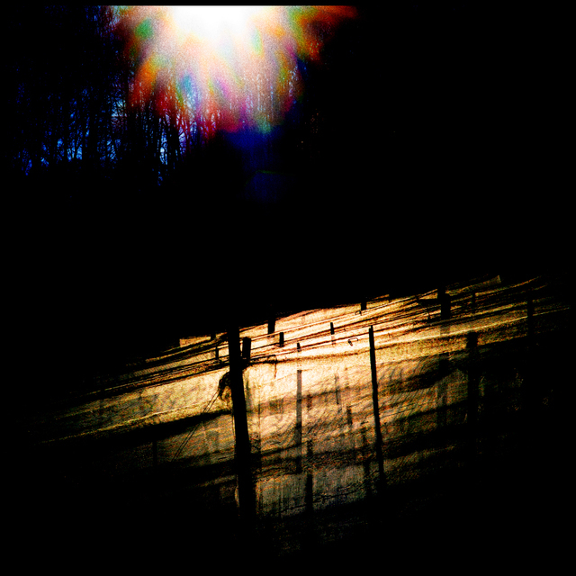 Net and Sun - ID 002312