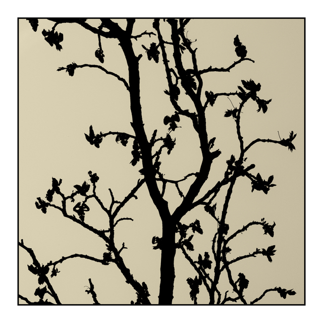 Structures I - ID 002327