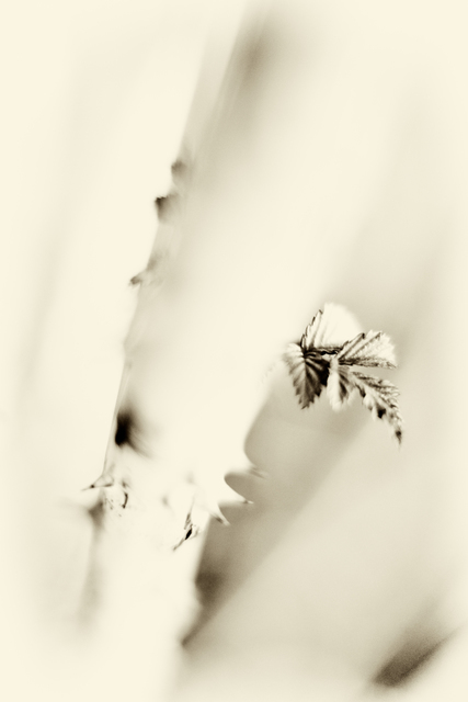 Starting - ID 002342