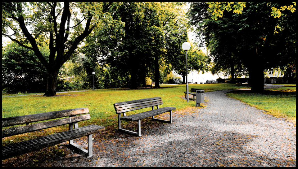 Empty Park - ID 002390