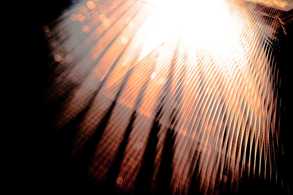 Light and Shadow I - ID 002395