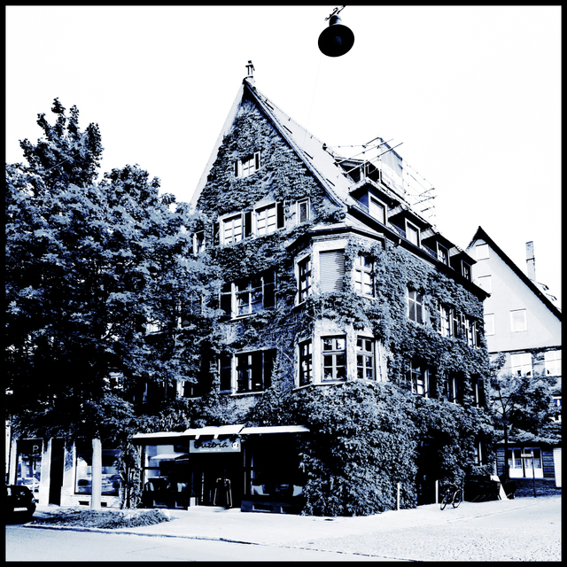 Coated House - ID 002440