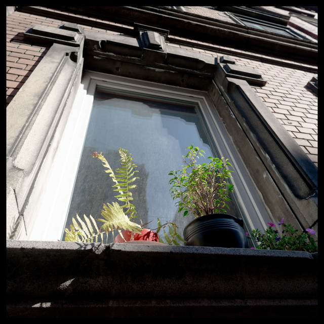 Window Garden - ID 002454