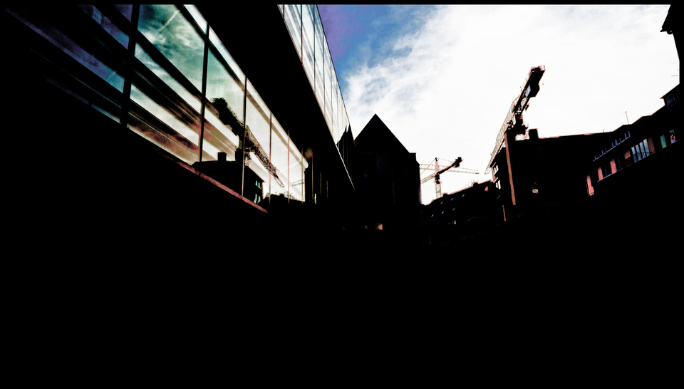 Still Cranes over Ulm - ID 002461