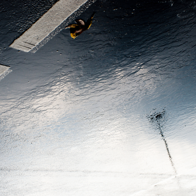 Refection VII - ID 002507