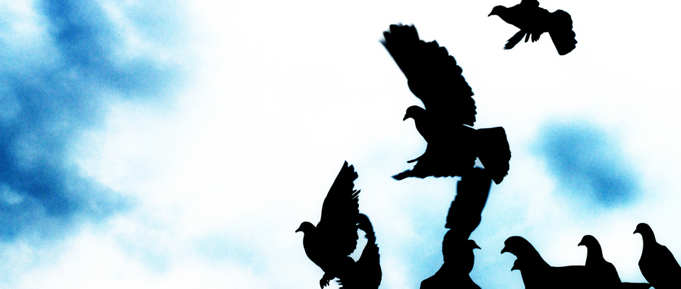 Aircraft Carrier II - ID 002521