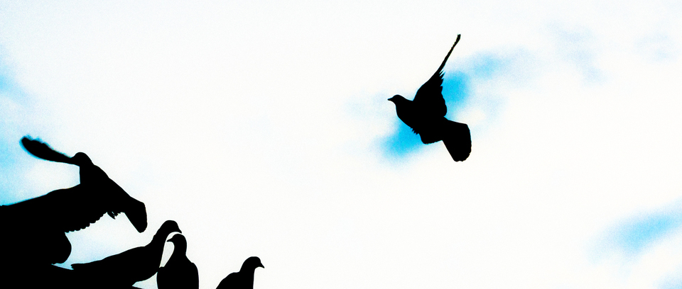 Aircraft Carrier III - ID 002522