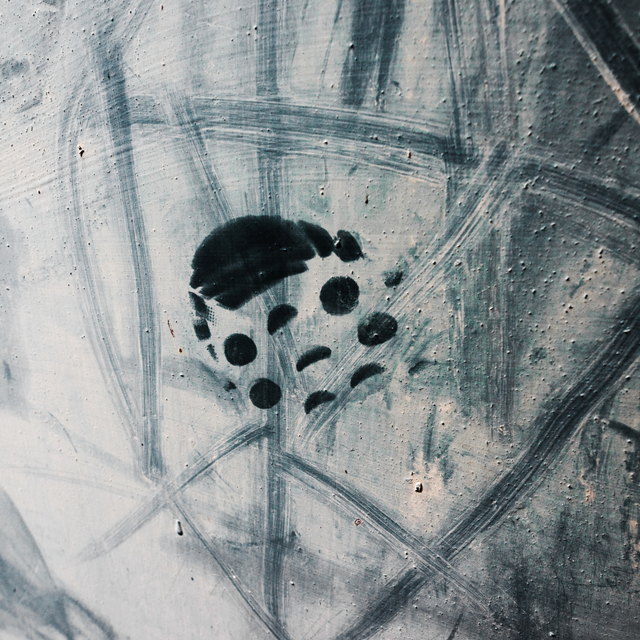 Traces on a Wall - ID 002594