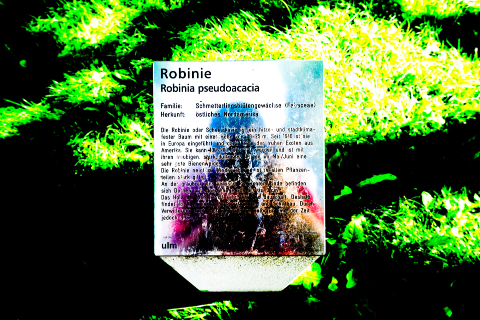 Self on Label - ID 002618