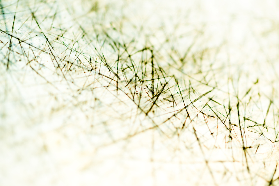 Structures on White - ID 002685