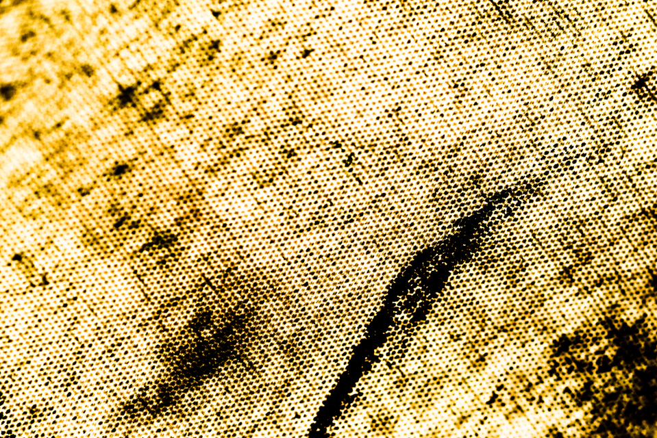 Umbrella VII - ID 002724