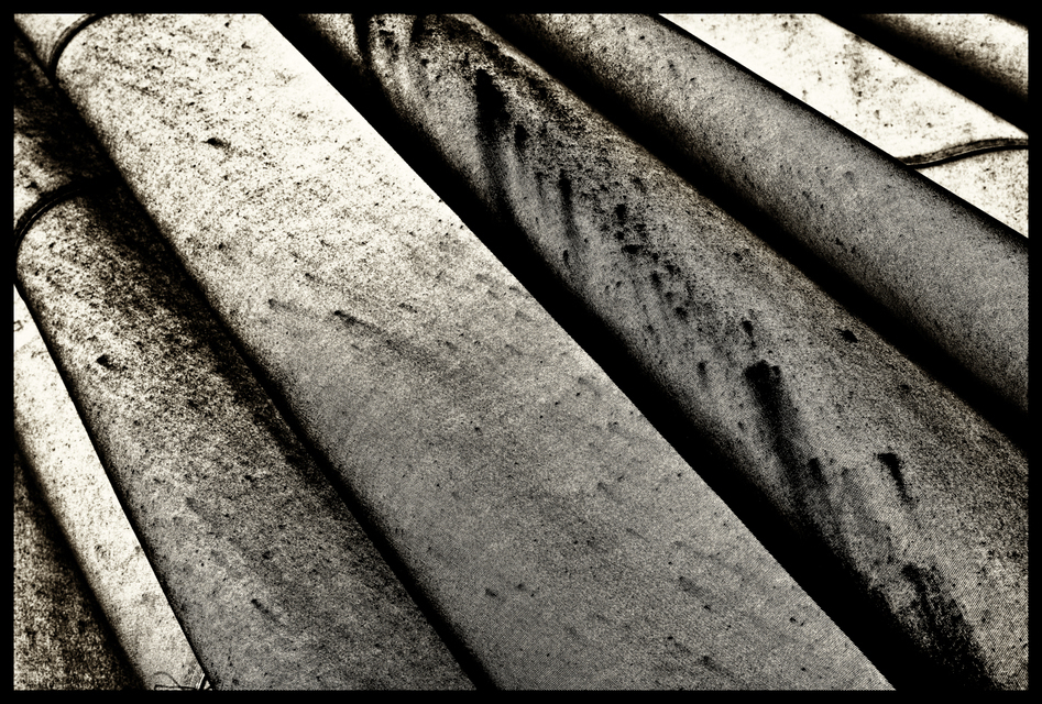 Umbrella XIV - ID 002731