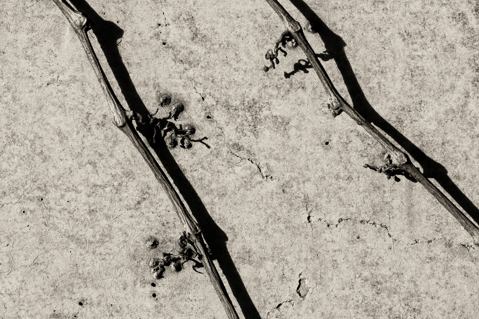 Remaining - ID 002733