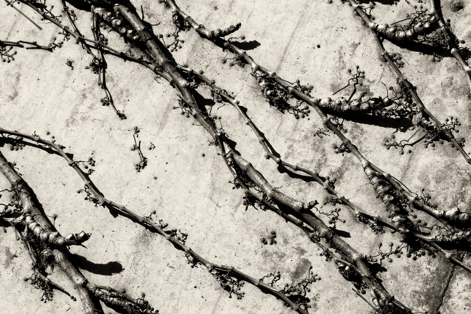 Fighting - ID 002734