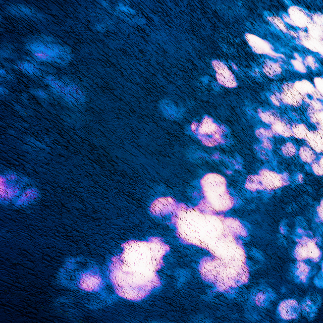 Summer Play of Lights I - ID 002776