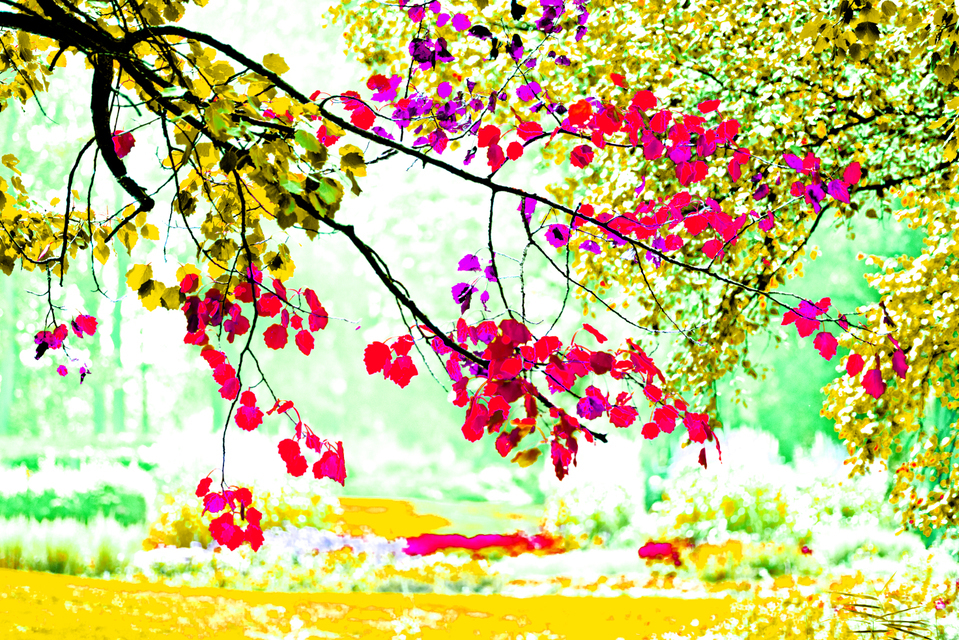 Autumn I - ID 002833