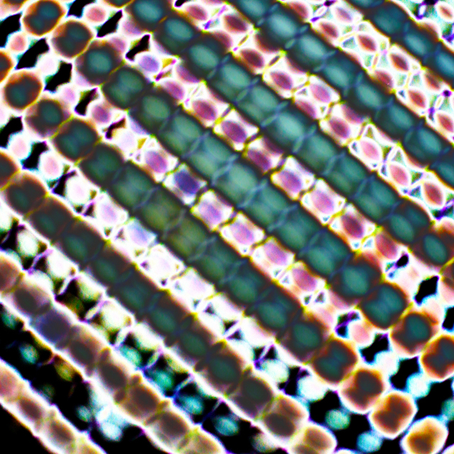 Grid Impression III - ID 002903