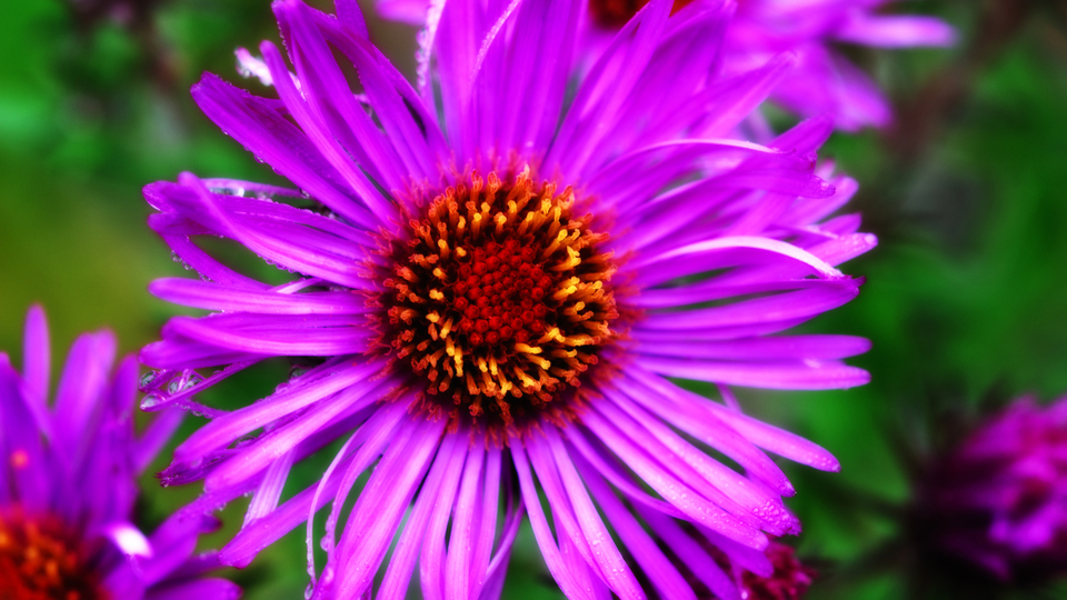 Post Rain - ID 002908