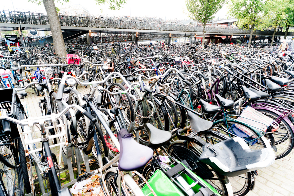 Find your Bike - ID 002931