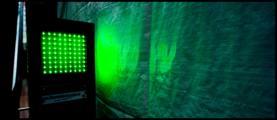 Green Light - ID 002945