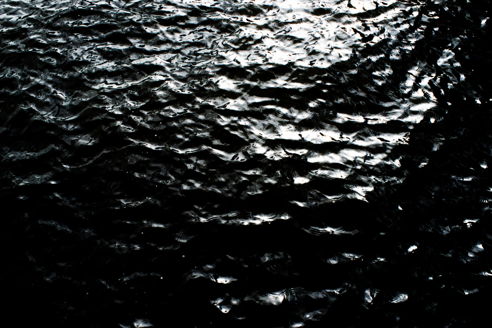 Amsterdam Grachten Water III - ID 002952