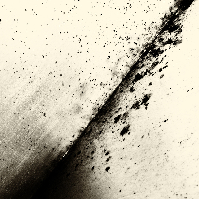 Stainless Steel II - ID 003026