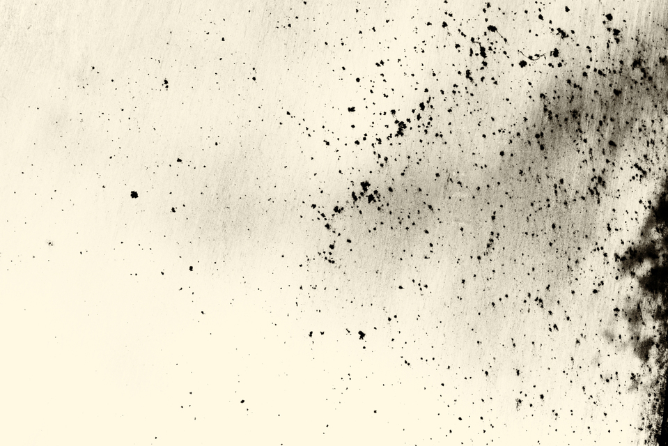 Stainless Steel IV - ID 003028