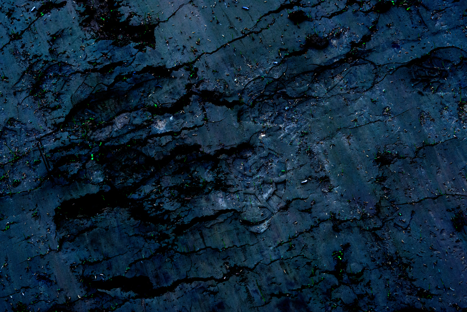 Fresh Green I - ID 003065