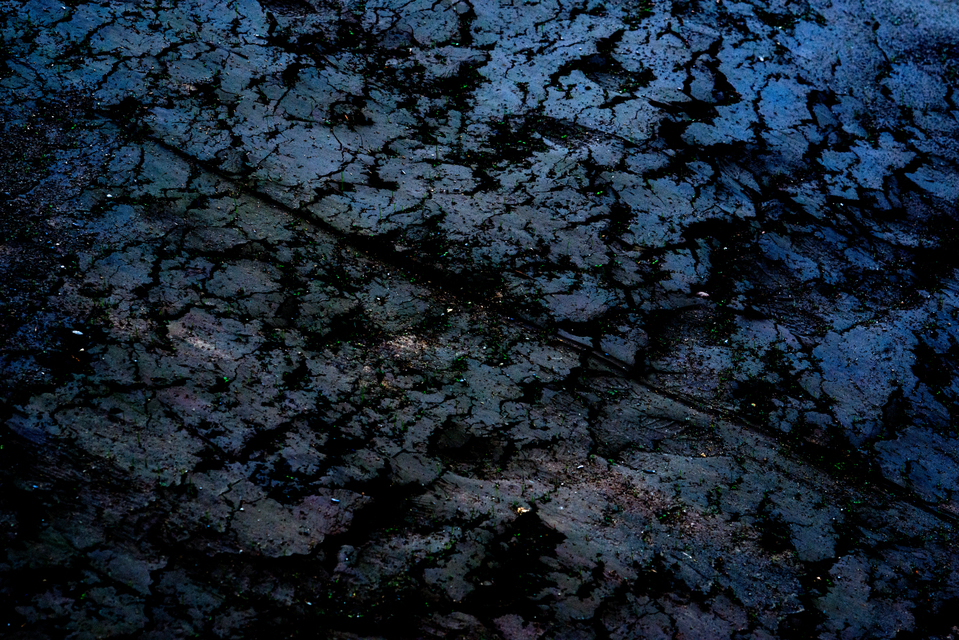 Fresh Green II - ID 003066