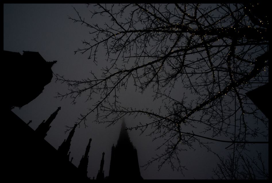 Limb Lights I - ID 003076