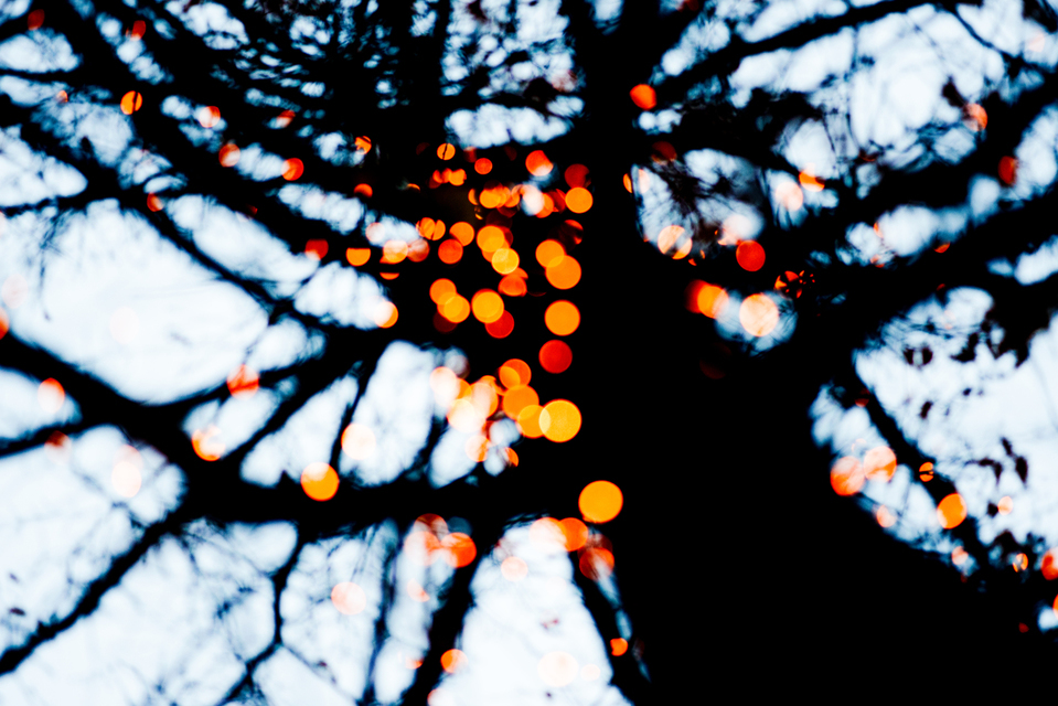 Dancing Lights - ID 003081