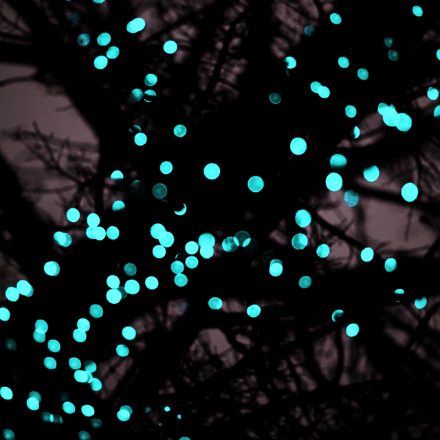 Cyan Lights - ID 003082