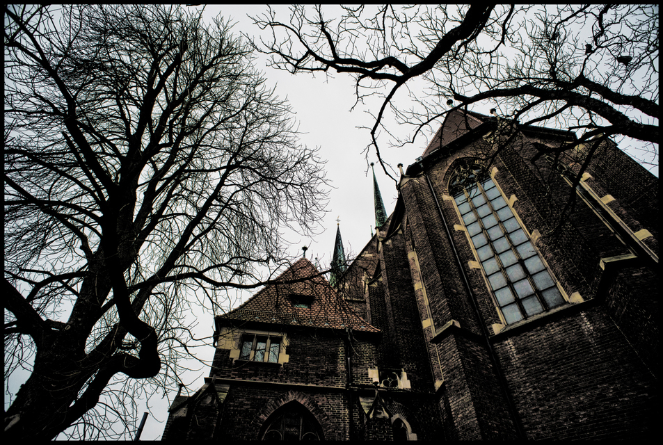 Tree Between II - ID 003151