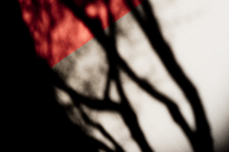 Shadow on the Wall I - ID 003179