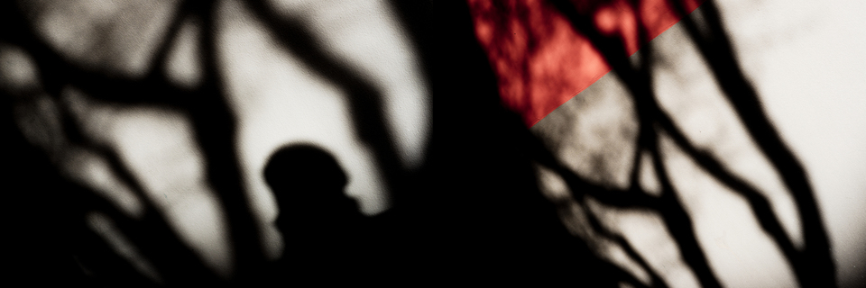 Shadows on the Wall - ID 003181