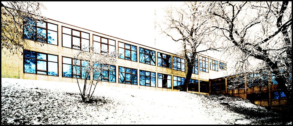 Blue on White II - ID 003209